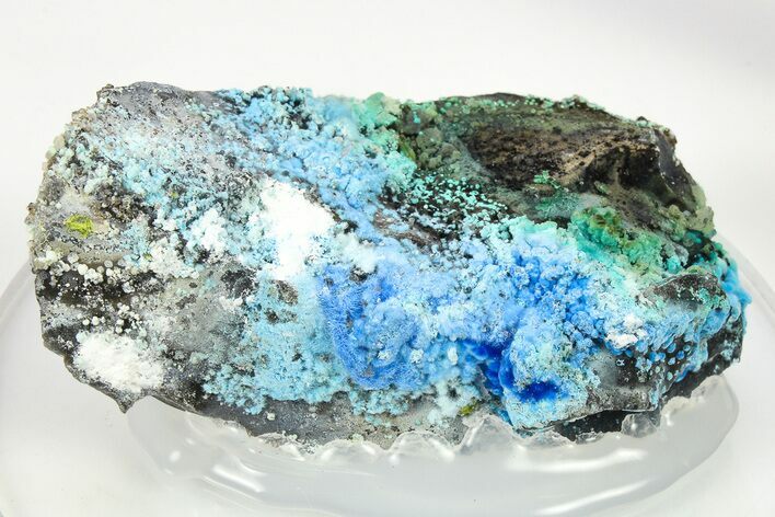 Vibrant Blue Cyanotrichite Crystal Aggregates - China #274149